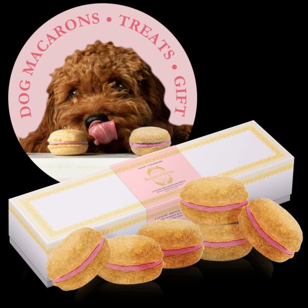Dog Macarons (Box of 6) - Image 2