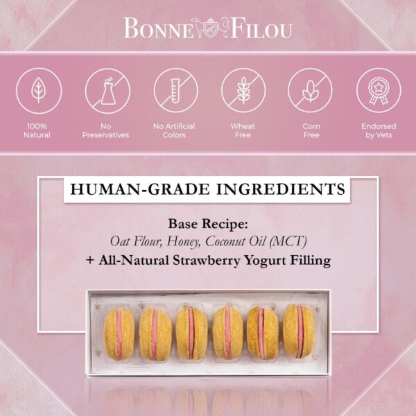 Dog Macarons (Box of 6) - Image 4
