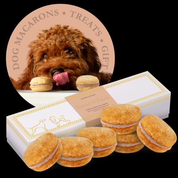 Dog Macarons (Box of 6) - Image 11