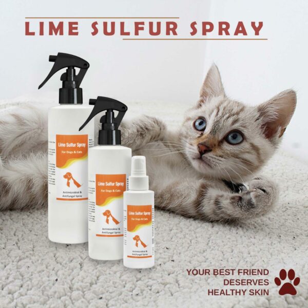 Lime Sulfur Spray - Image 2