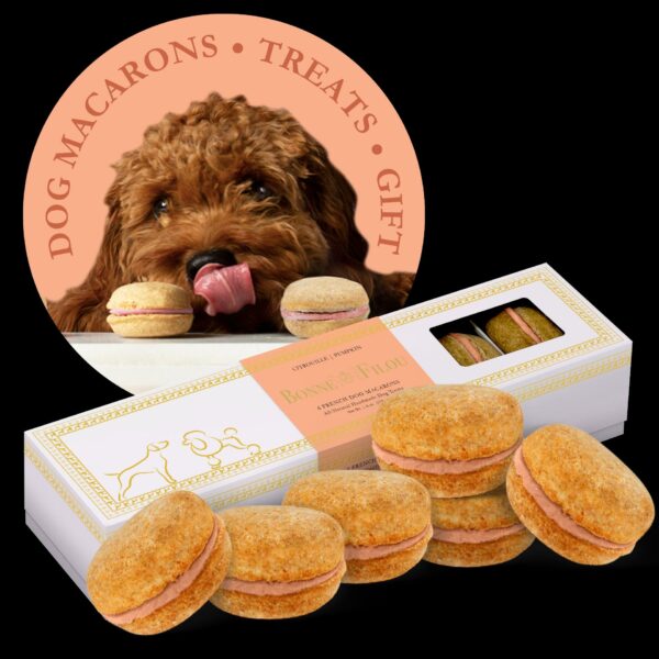 Dog Macarons (Count of 6 - window in packaging) - Image 3