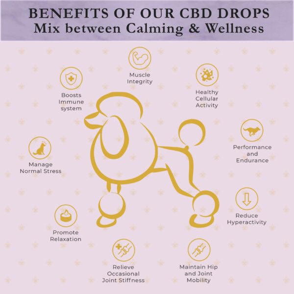 Pet Drops - Image 6