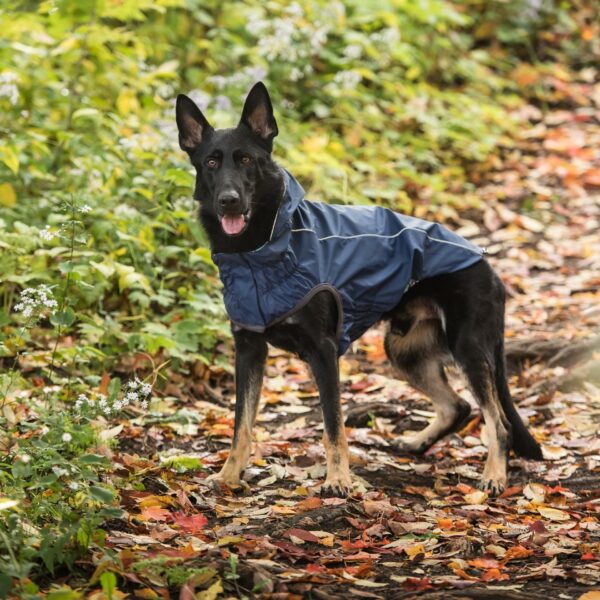 Reversible Elasto-Fit Raincoat - Navy - Image 5