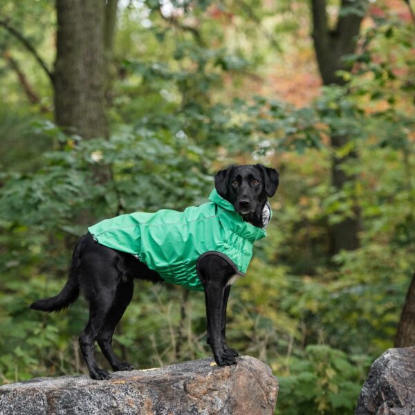 Reversible Elasto-Fit Raincoat - Green - Image 5