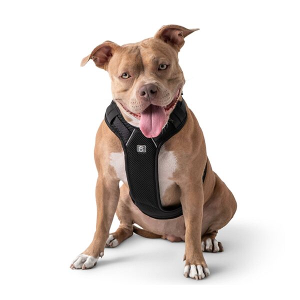 Travel Harness - Black - Image 2