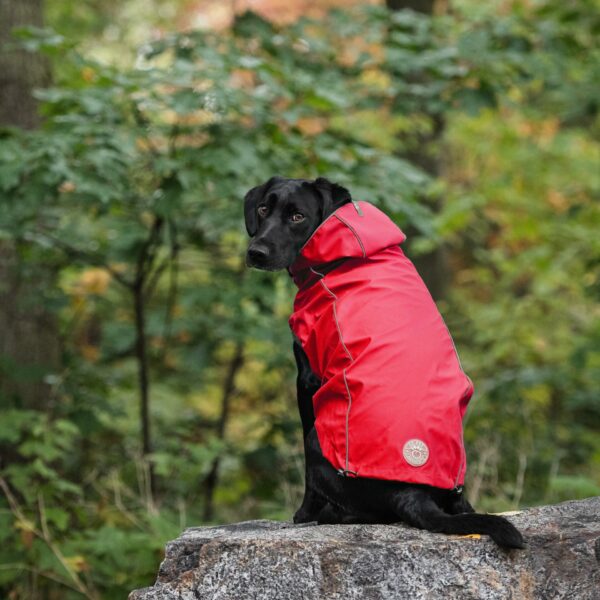 Reversible Elasto-Fit Raincoat - Red - Image 6