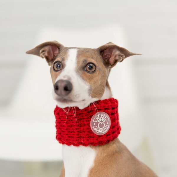 Chalet Tube Scarf - Red - Image 3