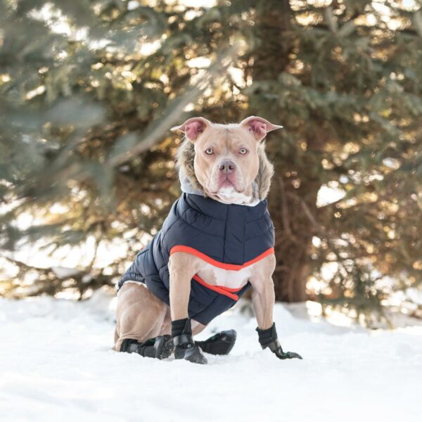 Winter Sailor Parka - Navy - Image 4