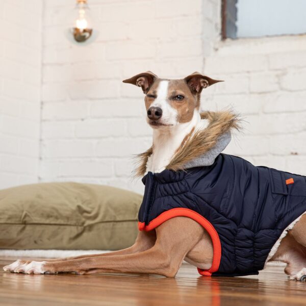 Winter Sailor Parka - Navy - Image 5