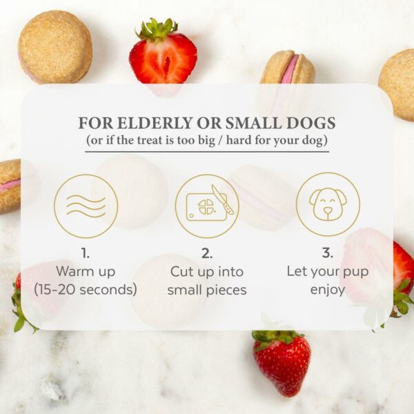 Dog Macarons (Box of 6) - Image 3