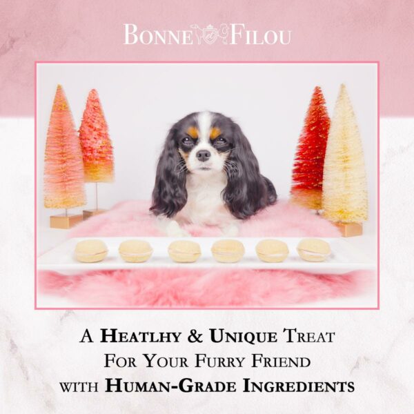 Dog Macarons (Box of 6) - Image 5