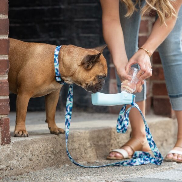 Water Bottle - Image 6