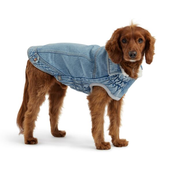 Denim Jacket - Light Wash - Image 2