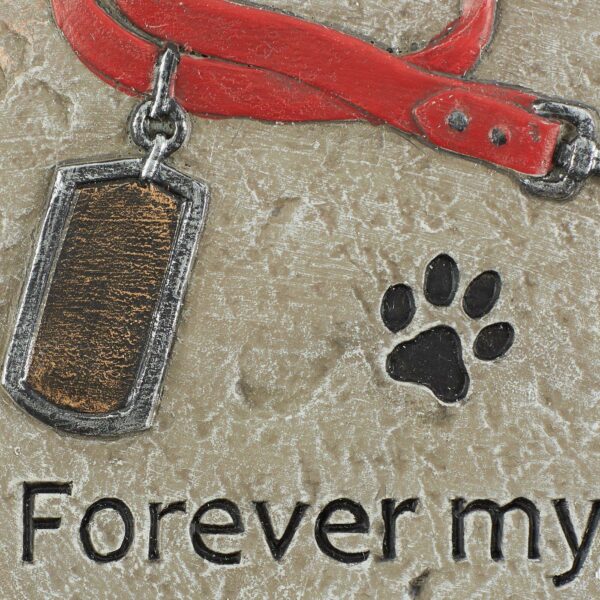 Pet Memorial Stepping Stone - Forever My Best Friend - Image 4