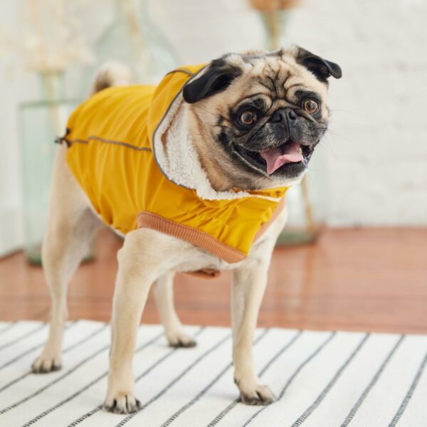 Insulated Raincoat - Yellow - Image 4