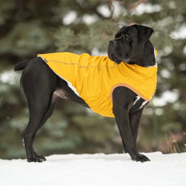 Insulated Raincoat - Yellow - Image 5