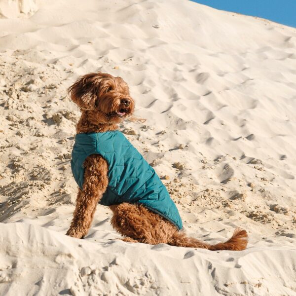 Sustainable Eco-Friendly Dog Jacket / Vest - Made in Ukraine - Image 7