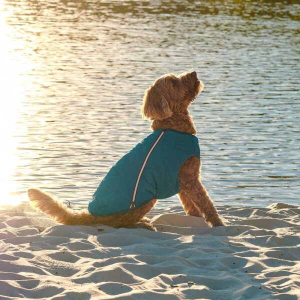 Sustainable Eco-Friendly Dog Jacket / Vest - Made in Ukraine - Image 9