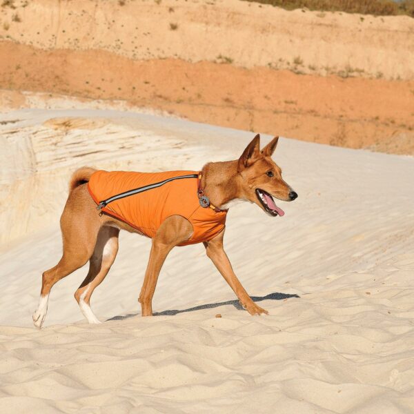Sustainable Eco-Friendly Dog Jacket / Vest - Made in Ukraine - Image 11