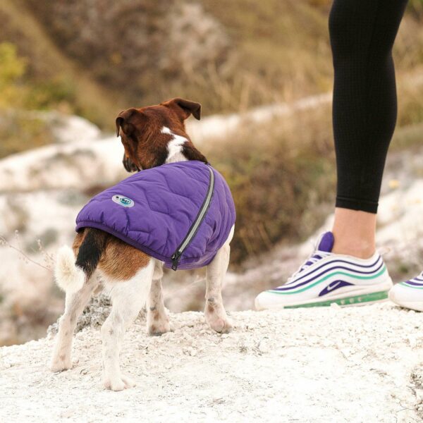 Sustainable Eco-Friendly Dog Jacket / Vest - Made in Ukraine - Image 13