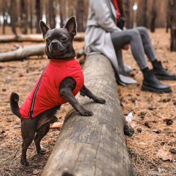 Sustainable Eco-Friendly Dog Jacket / Vest - Made in Ukraine - Image 14