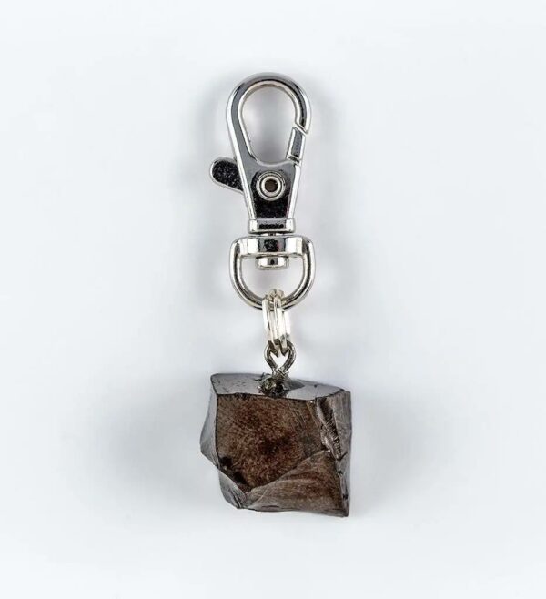 Shungite Pet Charm - Image 3