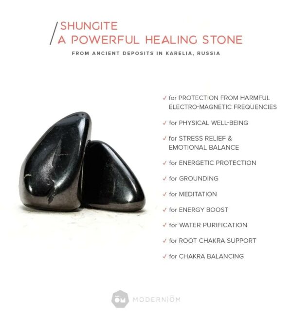 Shungite Pet Charm - Image 5