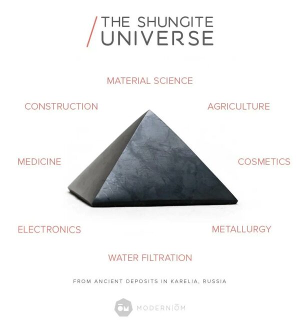 Shungite Pet Charm - Image 7