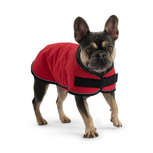 Dog Blanket Jacket - Red - Image 2