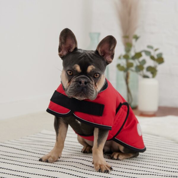 Dog Blanket Jacket - Red - Image 3