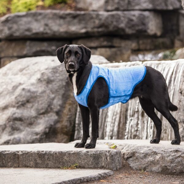 Elasto-Fit Ice Vest - Image 5