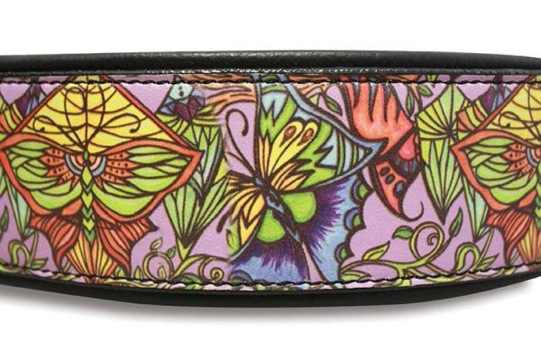 Butterfly Sanctuary - Image 20