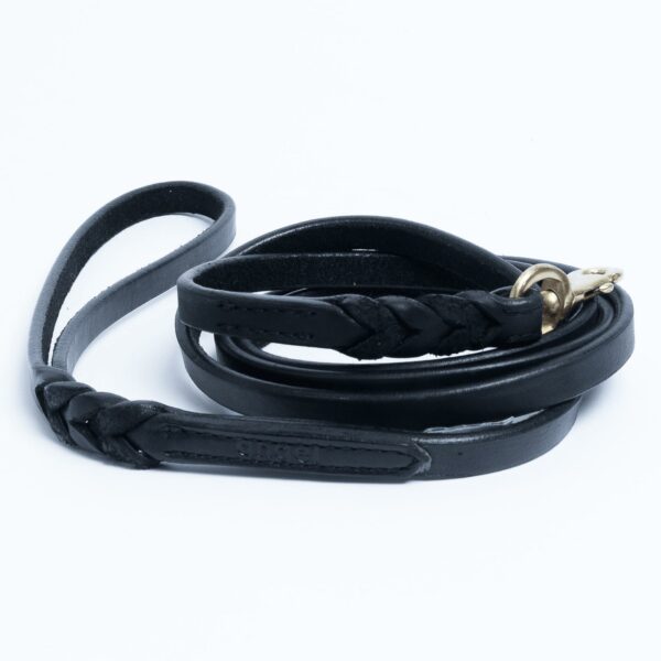 Braided Leash - Image 11