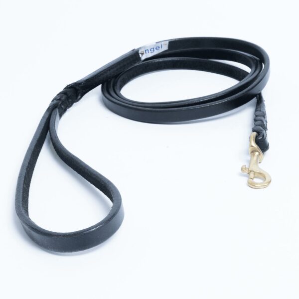 Braided Leash - Image 13