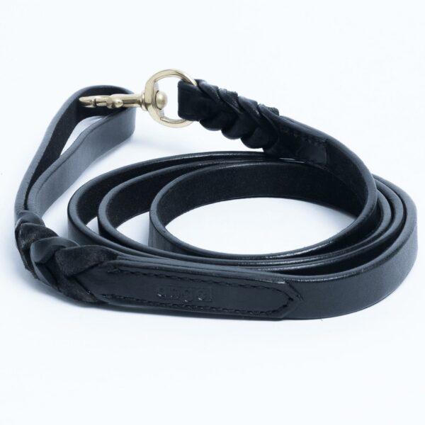 Braided Leash - Image 12