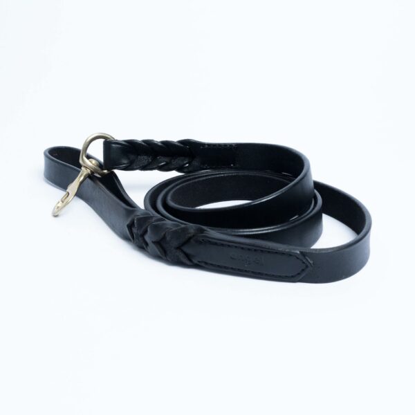 Braided Leash - Image 18