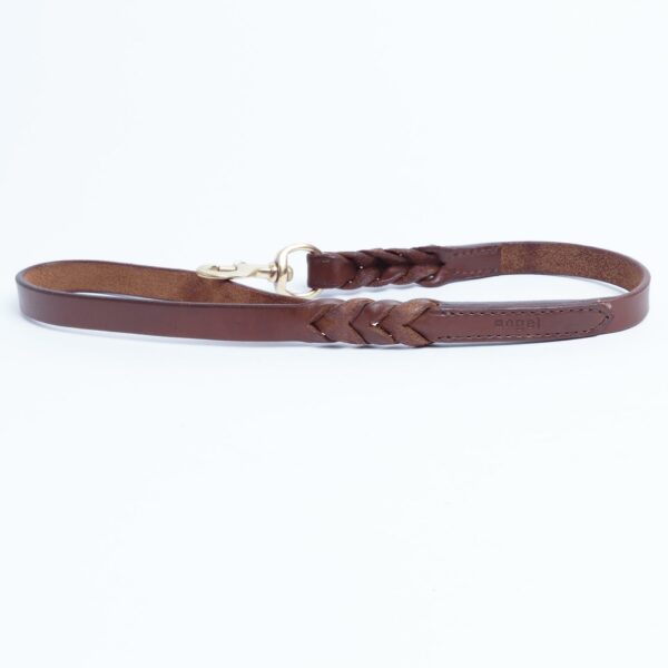 Braided Leash - Image 28