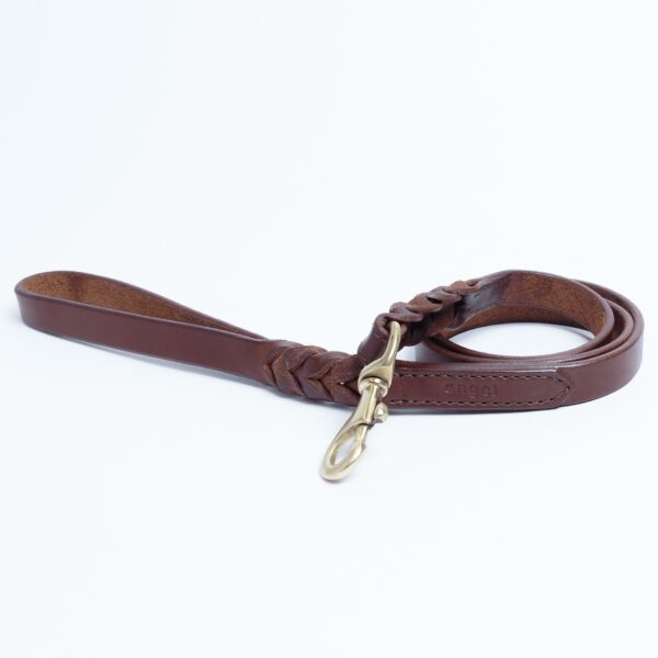 Braided Leash - Image 33