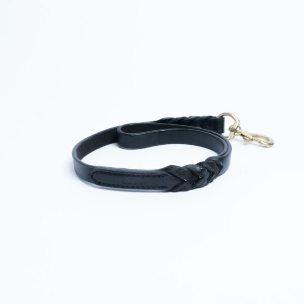 Braided Leash - Image 35