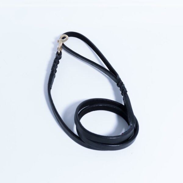 Braided Leash - Image 38