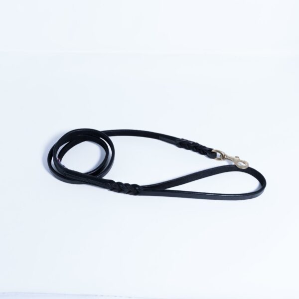 Braided Leash - Image 40