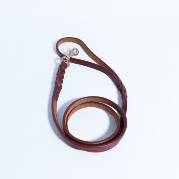 Braided Leash - Image 42