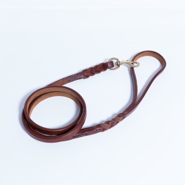 Braided Leash - Image 46