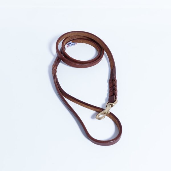 Braided Leash - Image 45