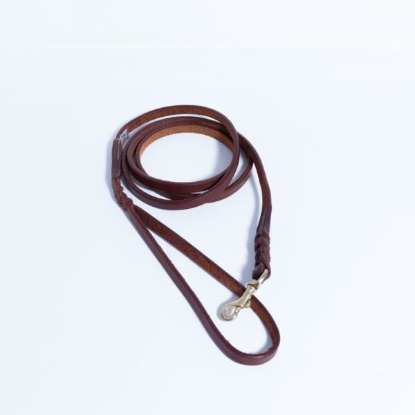 Braided Leash - Image 50