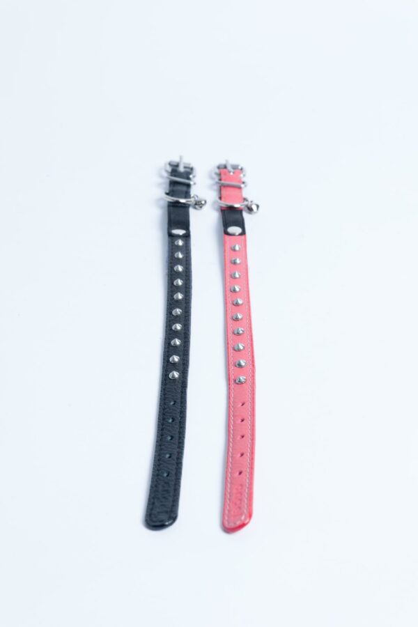 Studded Cat Collars - Image 19