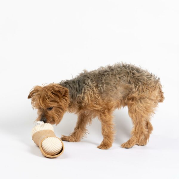 Cannoli Dog Toy - Image 2