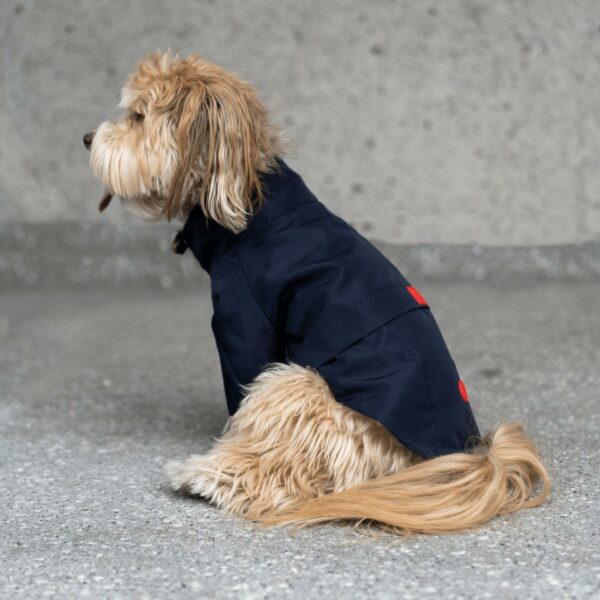 Jean-Paul Dog Raincoat - Image 6