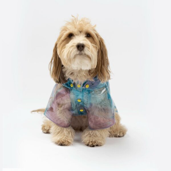 Kinney Dog Translusent Raincoat - Image 2