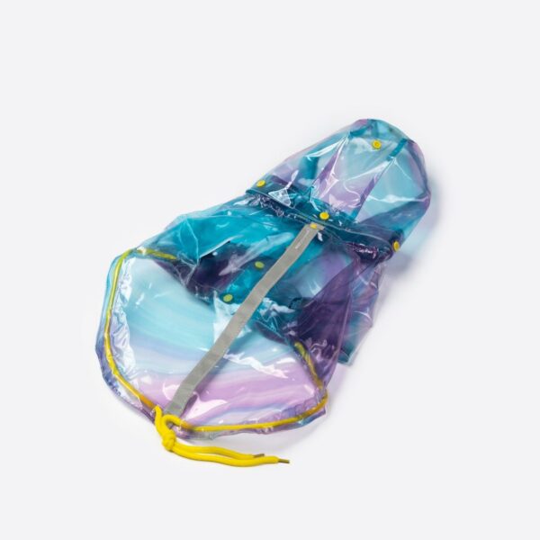 Kinney Dog Translusent Raincoat - Image 4